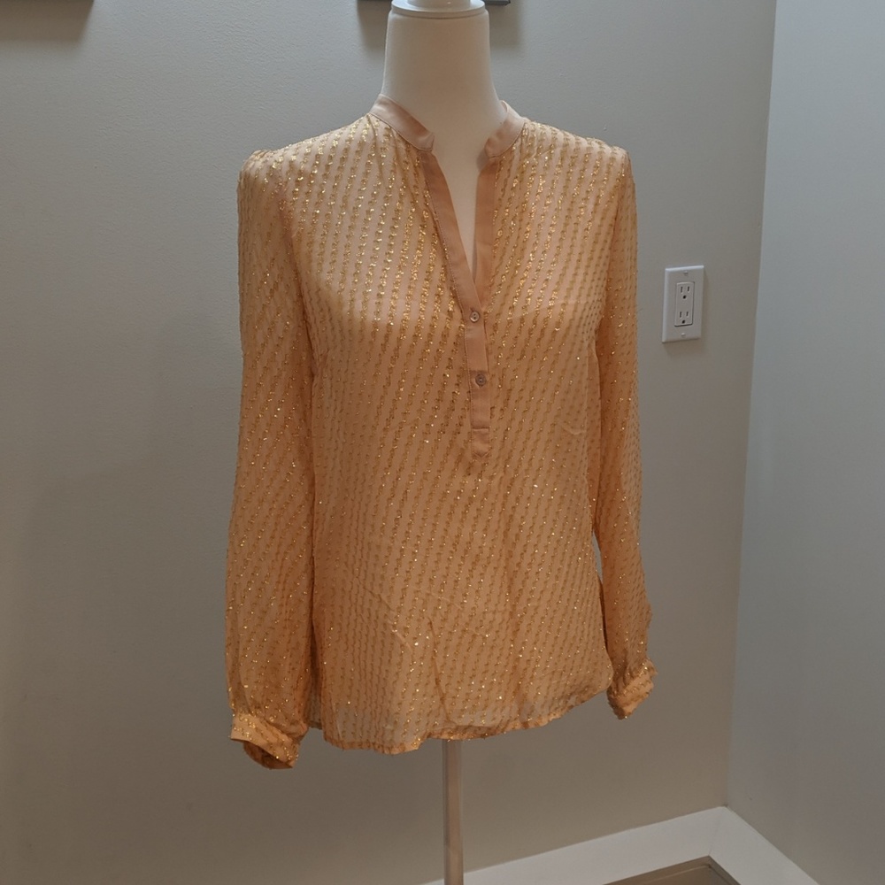Zara Long Sleeve Glitter Shirt